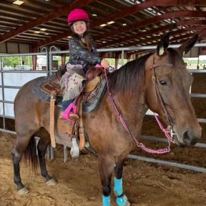 Kids Grey & Purple Leather Chaps – Western Fringe Riding Gear | The Hybrid Leather
